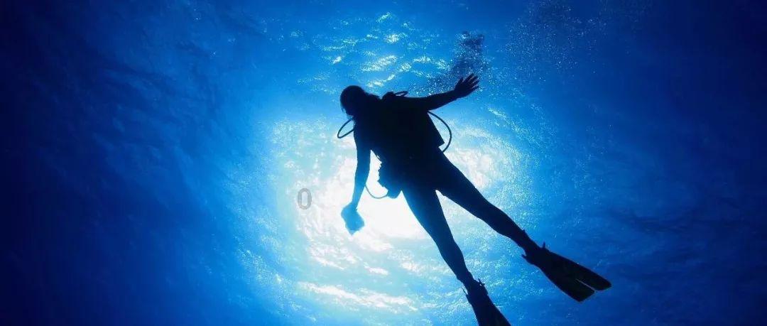 海盗的寻宝之旅