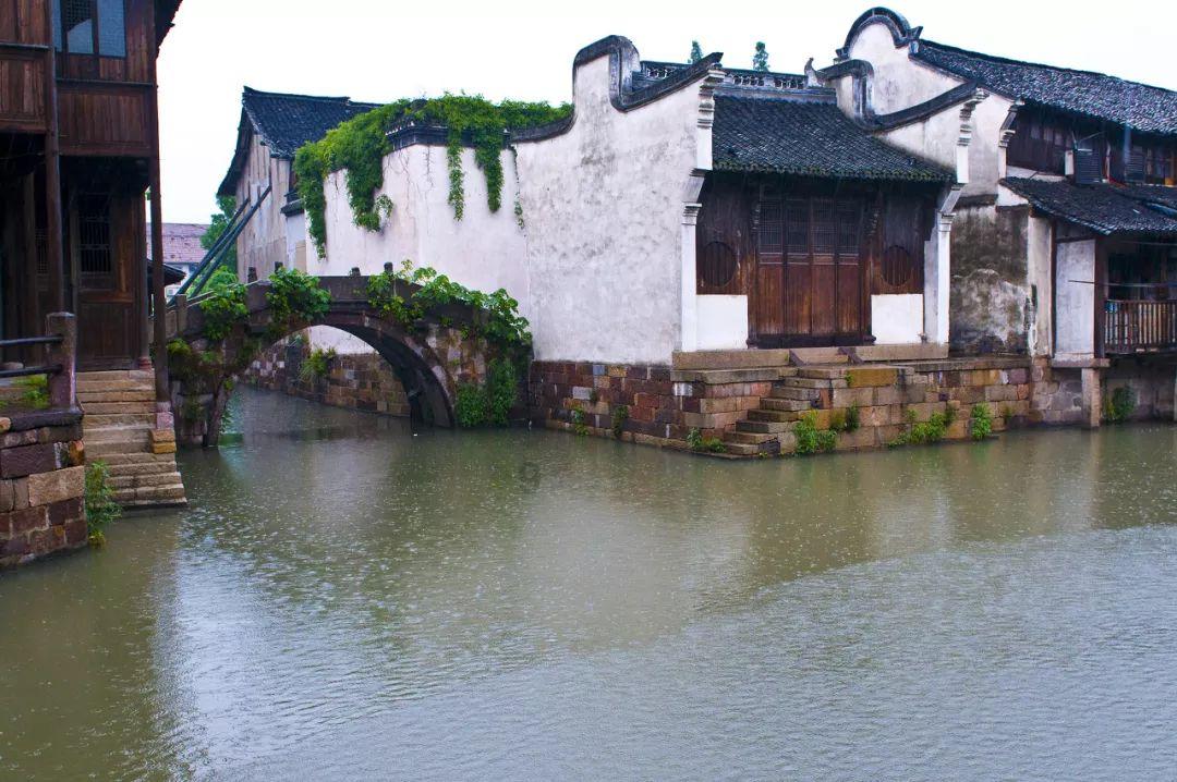 韩国国际平生教育开发院交流团来枣庄市榴娃艺术教育考察交流